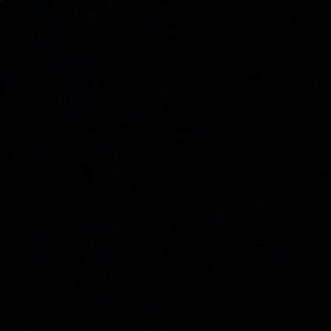 Meet your Posher, Saheba